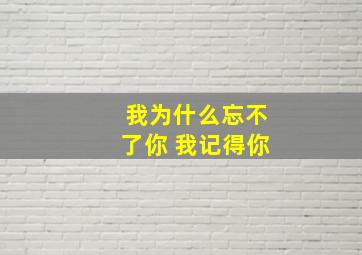 我为什么忘不了你 我记得你